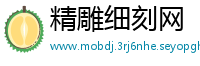 精雕细刻网